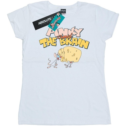Vêtements Femme T-shirts manches longues Animaniacs Pinky And The Brain Cheese Head Blanc