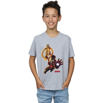 Vêtements Garçon T-shirts manches courtes Marvel Iron Man Pose Gris