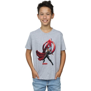 Vêtements Garçon T-shirts manches courtes Marvel Thor Pose Gris