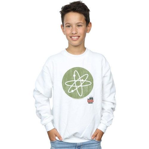 Vêtements Garçon Sweats The Big Bang Theory Malles / coffres de rangements Blanc