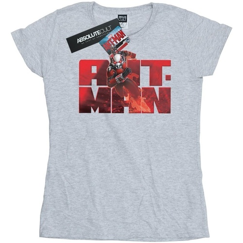 Vêtements Femme T-shirts manches longues Marvel Ant-Man Running Gris
