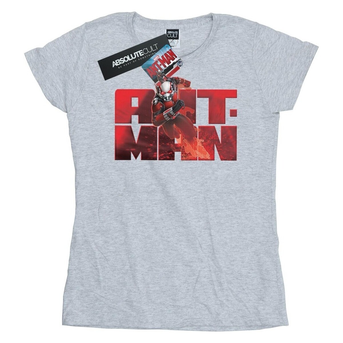 Vêtements Femme T-shirts manches longues Marvel Ant-Man Running Gris