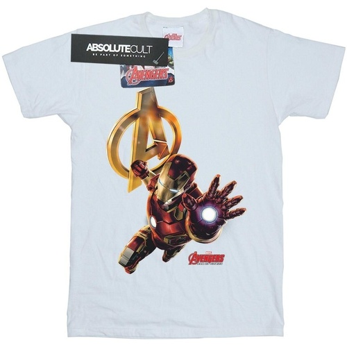 Vêtements Fille T-shirts manches longues Marvel Iron Man Pose Blanc