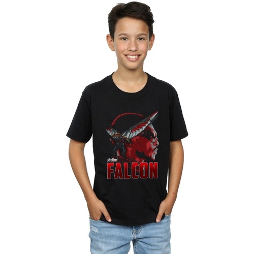 Vêtements Garçon T-shirts manches courtes Marvel Avengers Infinity War Falcon Character Noir