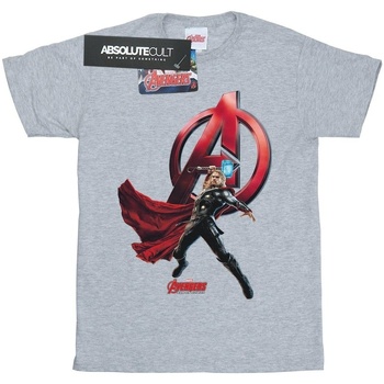 Vêtements Fille T-shirts manches longues Marvel Thor Pose Gris