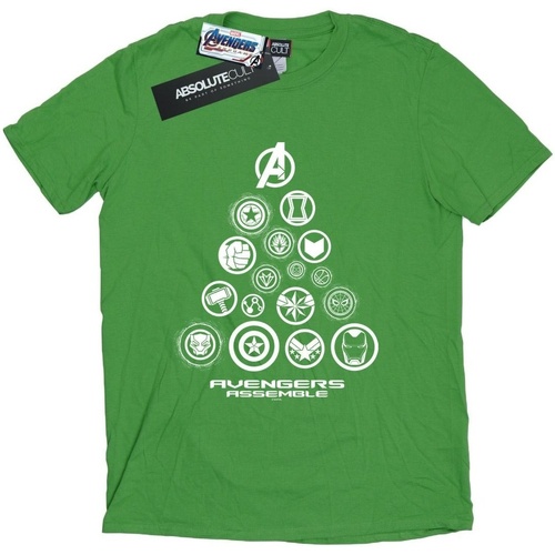 Vêtements Femme T-shirts manches longues Marvel Avengers Endgame Pyramid Icons Vert