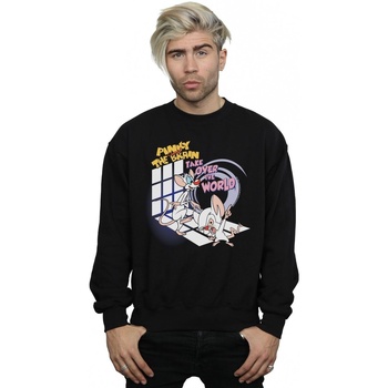 Vêtements Homme Sweats Animaniacs Pinky And The Brain Take Over The World Noir