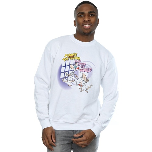 Vêtements Homme Sweats Animaniacs Pinky And The Brain Take Over The World Blanc
