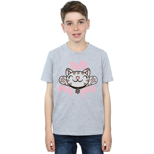 Vêtements Garçon T-shirts manches courtes Big Bang Theory Soft Kitty Purr Gris