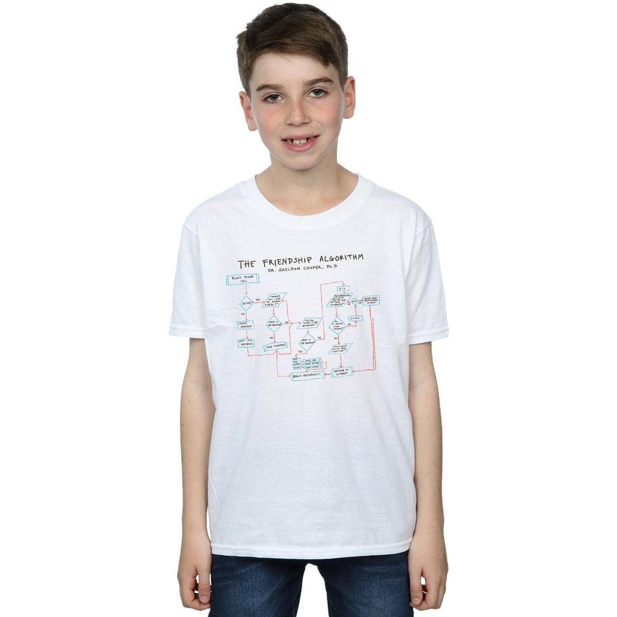 Vêtements Garçon T-shirts manches courtes The Big Bang Theory Friendship Algorithm Blanc
