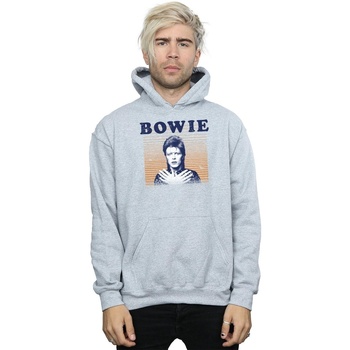 Vêtements Homme Sweats David Bowie  Gris