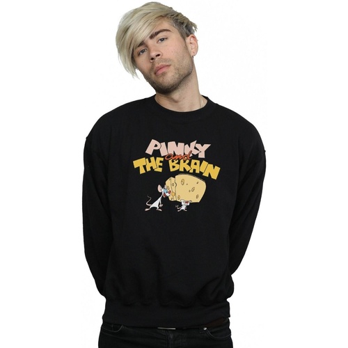 Vêtements Homme Sweats Animaniacs Pinky And The Brain Cheese Head Noir