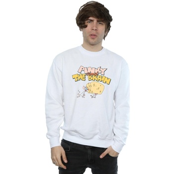 Vêtements Homme Sweats Animaniacs Pinky And The Brain Cheese Head Blanc