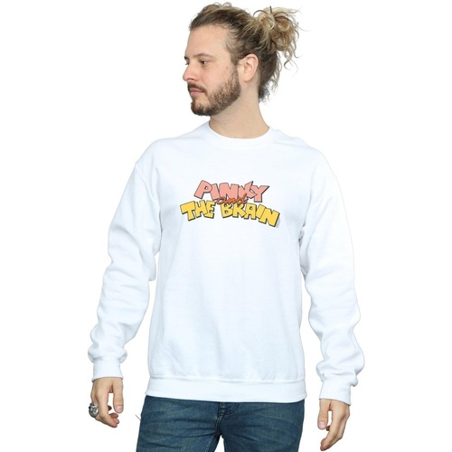 Vêtements Homme Sweats Animaniacs Pinky And The Brain Logo Blanc