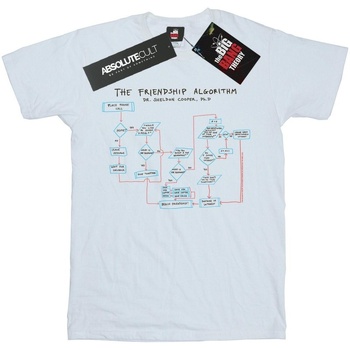 Vêtements Fille T-shirts manches longues The Big Bang Theory Friendship Algorithm Blanc