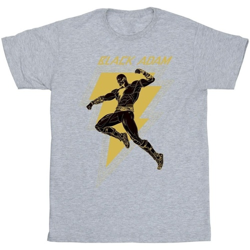 Vêtements Garçon T-shirts manches courtes Dc Comics Black Adam Golden Bolt Chest Gris