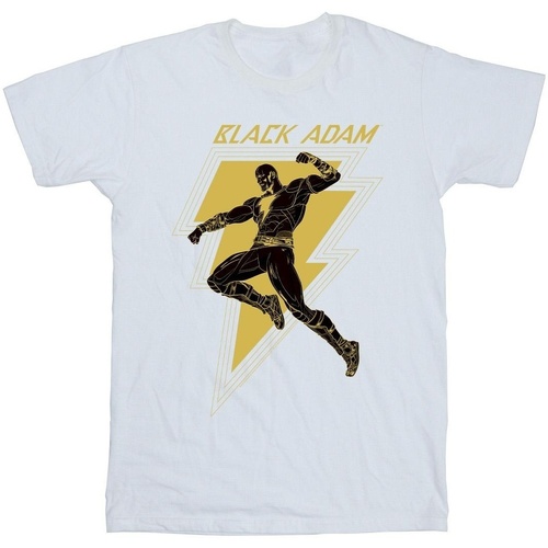 Vêtements Garçon T-shirts manches courtes Dc Comics Black Adam Golden Bolt Chest Blanc