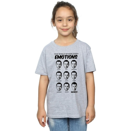 Vêtements Fille T-shirts manches longues The Big Bang Theory Sheldon Emotions Gris