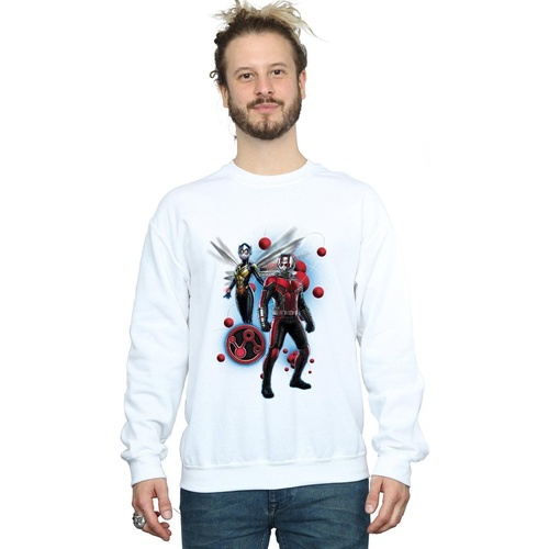 Vêtements Homme Sweats Marvel Ant-Man And The Wasp Particle Pose Blanc