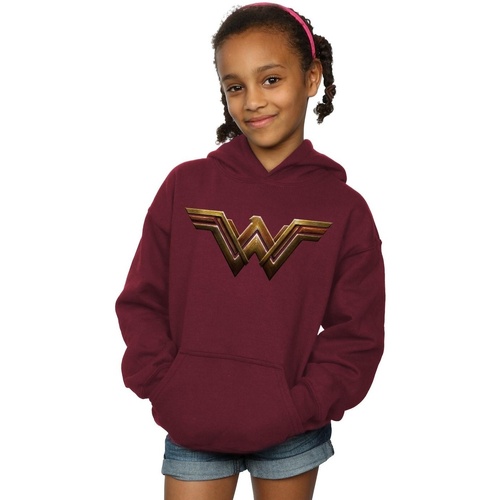 Vêtements Fille Sweats Dc Comics Justice League Movie Wonder Woman Emblem Multicolore