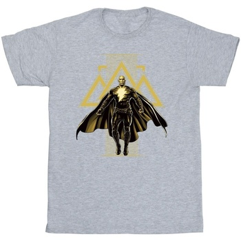 Vêtements Fille T-shirts manches longues Dc Comics Black Adam Rising Golden Symbols Gris