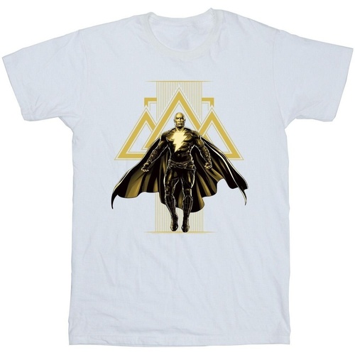 Vêtements Fille T-shirts manches longues Dc Comics Black Adam Rising Golden Symbols Blanc