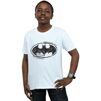 Vêtements Garçon T-shirts manches courtes Dc Comics Batman Sketch Logo Blanc