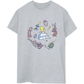 Vêtements Femme T-shirts manches longues Disney Alice In Wonderland Falling Gris