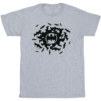 Vêtements Garçon T-shirts manches courtes Dc Comics Batman Bat Swirl Gris