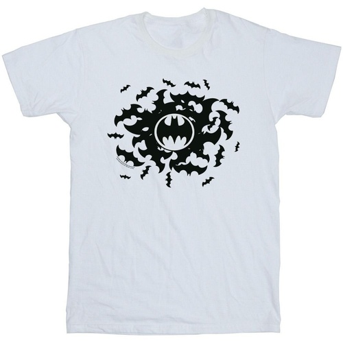 Vêtements Garçon T-shirts manches courtes Dc Comics Batman Bat Swirl Blanc