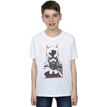 Vêtements Garçon T-shirts manches courtes Dc Comics Batman Solid Stare Blanc