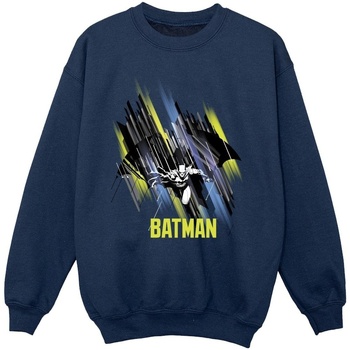 Vêtements Fille Sweats Dc Comics Batman Flying Batman Bleu