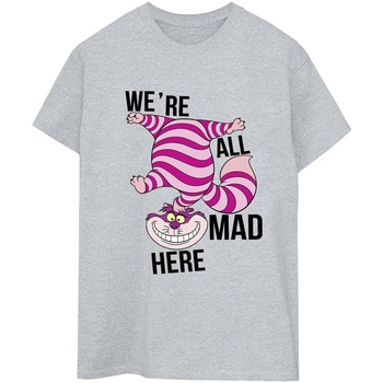 Vêtements Femme T-shirts manches longues Disney Alice In Wonderland All Mad Here Gris