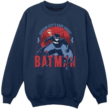 Vêtements Fille Sweats Dc Comics Batman Gotham City Bleu