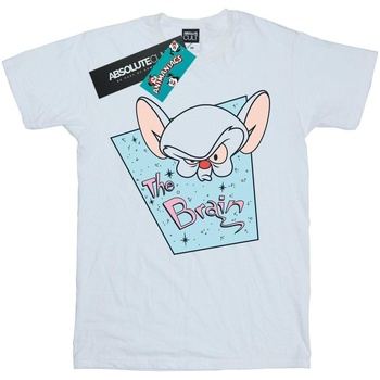 Vêtements Femme T-shirts manches longues Animaniacs The Brain Mugshot Blanc