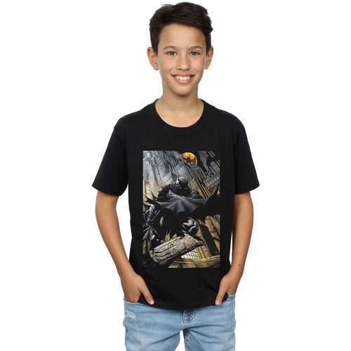 Vêtements Garçon T-shirts manches courtes Dc Comics Batman Night Gotham City Noir