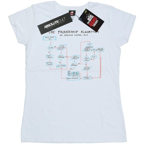 Vêtements Femme T-shirts manches longues The Big Bang Theory Friendship Algorithm Blanc