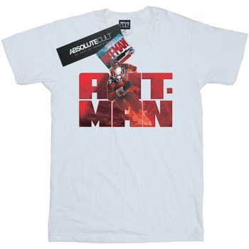 Vêtements Femme T-shirts manches longues Marvel Ant-Man Running Blanc
