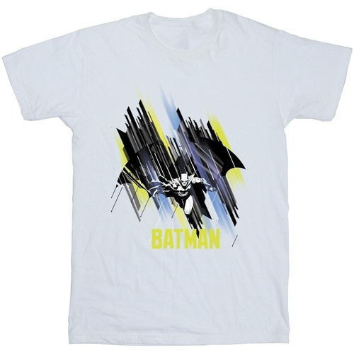 Vêtements Garçon T-shirts manches courtes Dc Comics Batman Flying Batman Blanc