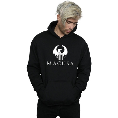 Vêtements Homme Sweats Fantastic Beasts MACUSA Logo Noir