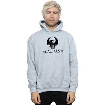 Vêtements Homme Sweats Fantastic Beasts MACUSA Logo Gris