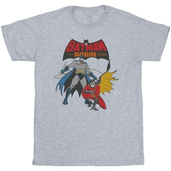 Vêtements Fille T-shirts manches longues Dc Comics Batman And Robin Gris