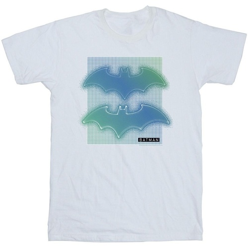 Vêtements Garçon T-shirts manches courtes Dc Comics Batman Grid Gradient Blanc