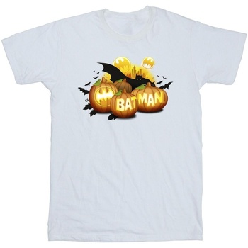 Vêtements Garçon T-shirts manches courtes Dc Comics Batman Pumpkins Blanc