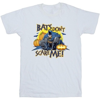 Vêtements Garçon T-shirts manches courtes Dc Comics Batman Bats Don't Scare Me Blanc