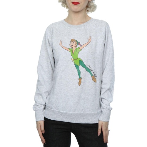 Vêtements Femme Sweats Disney Classic Flying Peter Pan Gris