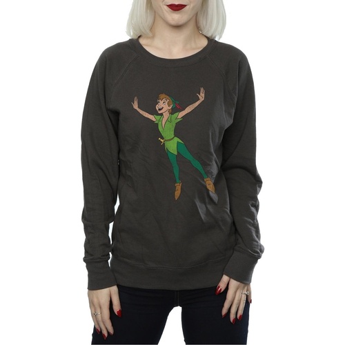 Vêtements Femme Sweats Disney Classic Flying Peter Pan Multicolore