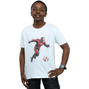 Vêtements Garçon T-shirts manches courtes Marvel Avengers Endgame Painted Ant-Man Blanc