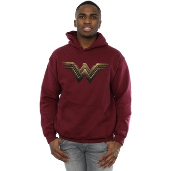 Vêtements Homme Sweats Dc Comics Wonder Woman Logo Multicolore