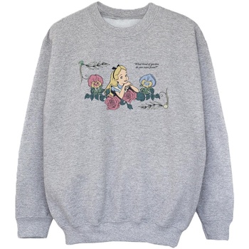 Vêtements Garçon Sweats Disney Alice In Wonderland What Kind Of Garden Gris